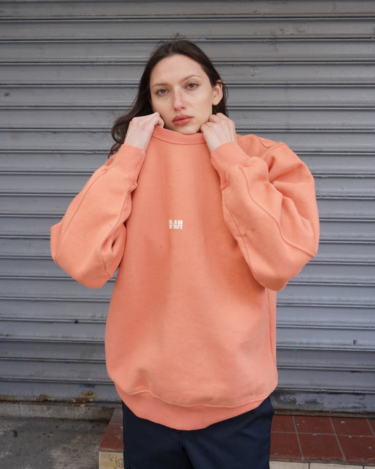 Peach Fuzz Sweatshirt
